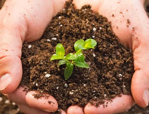 Restoring Your Soil Life, Increasing Yields, Lowering Costs